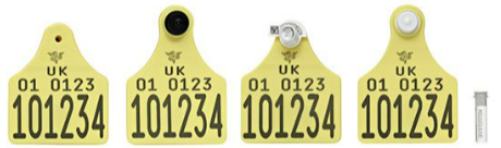 Calf Tags